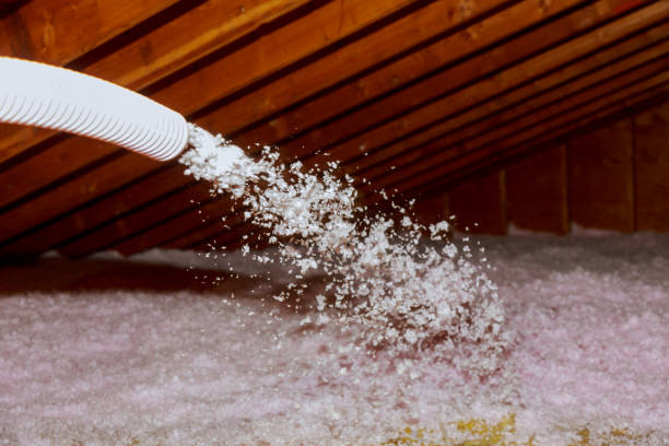 Types of Insulation We Offer in Cayuga, IN